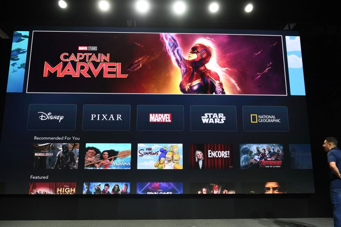 Disney plus hulu star bundle