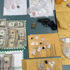 Us investigation meta drug sales profits