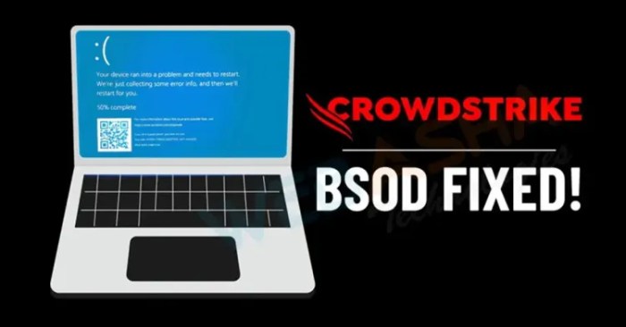 Windows bsod crowdstrike outage issue