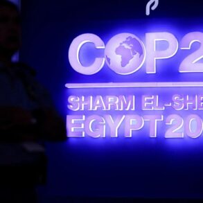 Cop27 takeaways egypt climate summit united nations