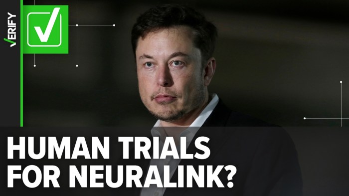 Elon musk brain implant startup neuralink monkeys euthanized