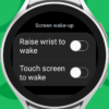 How take screenshot wear os