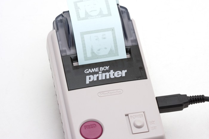 Analogue pocket game boy camera microsd sd card photos transfer