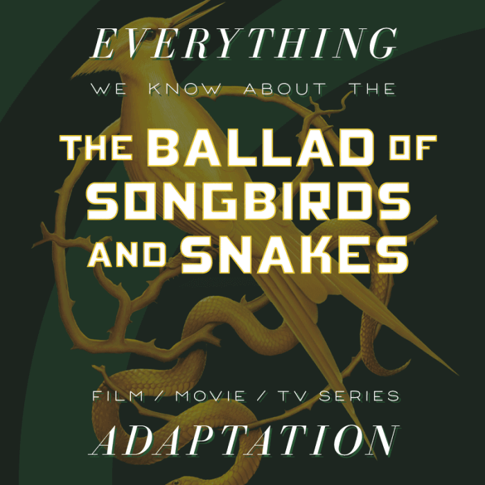 The hunger games prequel movie what you need to know