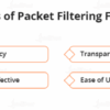 What is a packet filtering firewall