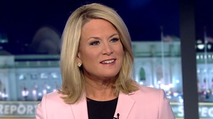 Facebook fox news host virtual town hall portal coronavirus