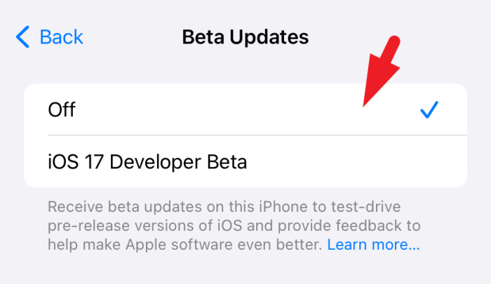 Apple iphone repair state ios 17 5 beta