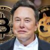 Reddit rules bans violence doxing elon musk doge