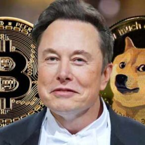 Reddit rules bans violence doxing elon musk doge