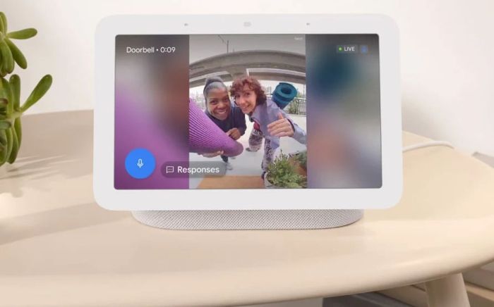 Matter google nest smart home michele turner interview