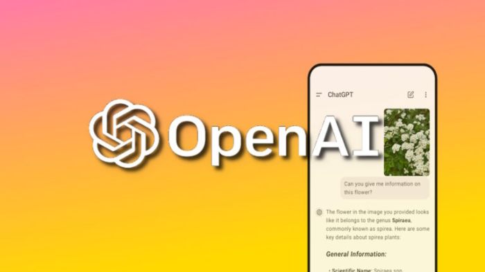 A new petition against openai has been filed to the california ag