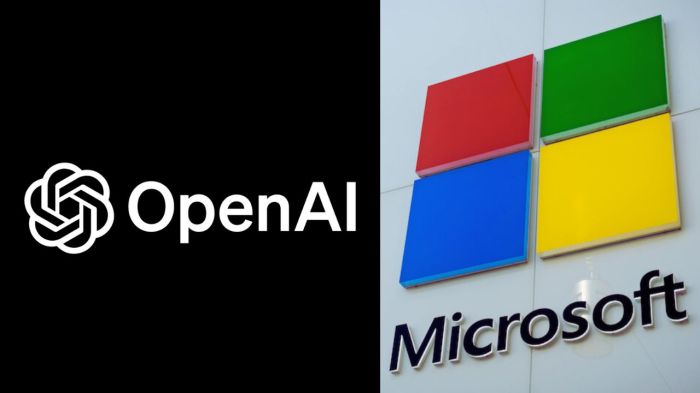Class action lawsuit openai privacy dropped