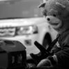 Panasonic g85 lx10 and fz2500 in photos