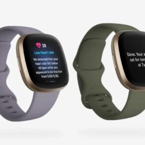 Can you use fitbit features on other wear os 3 smartwatches