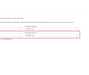 Sd quickstart service for software ngfw private cloud