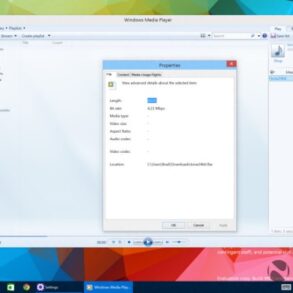 Chrome flac support launching