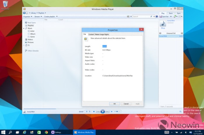 Chrome flac support launching