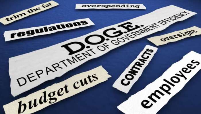 Doge is asking federal employees to justify their jobs