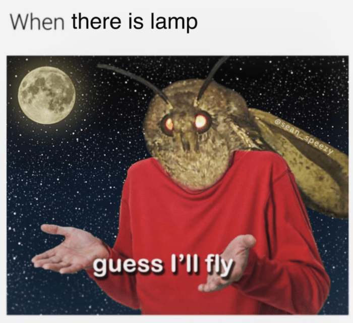 Memes super mario moth brother nature