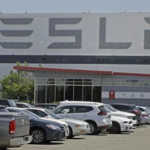 Uaw is going to take another stab at organizing tesla workers