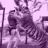 Tiger king 2 on netflix peers into joe exotics cage finds little there