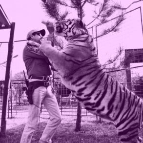 Tiger king 2 on netflix peers into joe exotics cage finds little there
