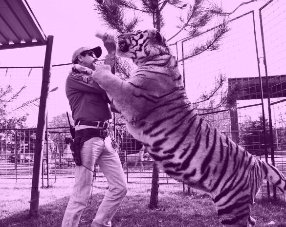 Tiger king 2 on netflix peers into joe exotics cage finds little there