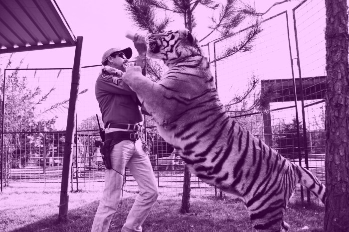 Tiger king 2 on netflix peers into joe exotics cage finds little there