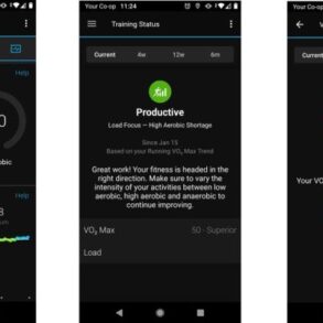 Best garmin forerunner 955 solar replacement bands