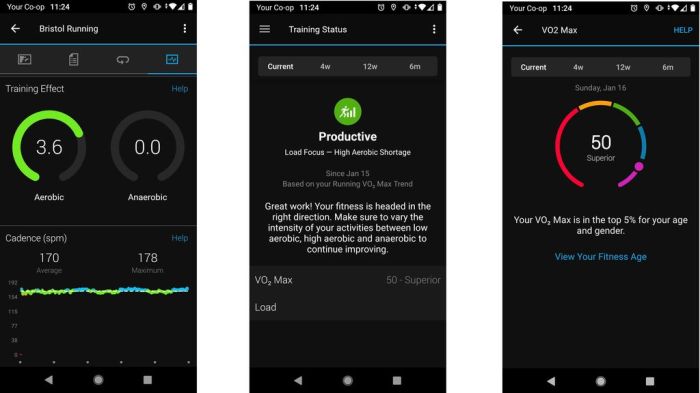 Best garmin forerunner 955 solar replacement bands