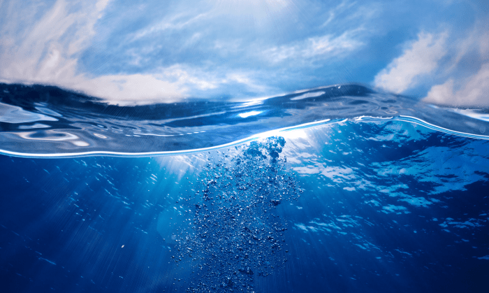 Undersea could telecoms cables earthquakes be detected using lies bradberry understanding boost beneath shutterstock courtesy our what Google undersea cable detects earthquakes