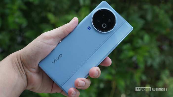 Vivo ceases operations germany