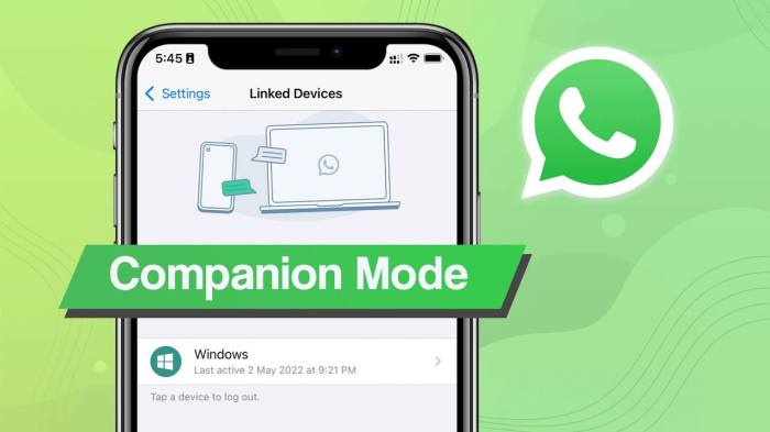 Whatsapp beta companion mode