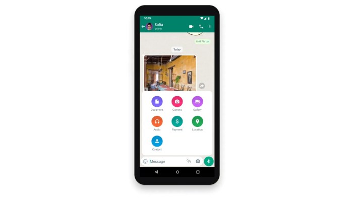 Whatsapp cryptocurrency payments us