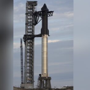 Elon musk spacex starship update boca chica texas