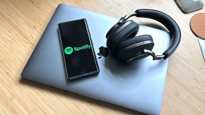 Spotify hifi announced lossless streaming hd quality