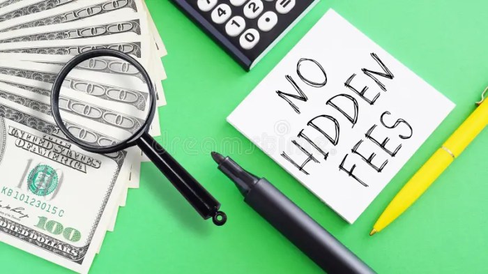 What to know about hidden fees that increase the price of everything