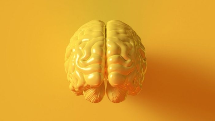 Ways aging prematurely stop lifestyle